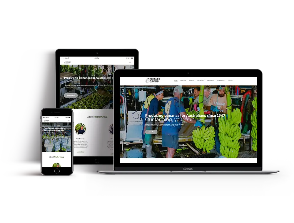 Flegler Group website superimposed on different devices